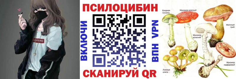 omg сайт  Волосово  Псилоцибиновые грибы Cubensis 